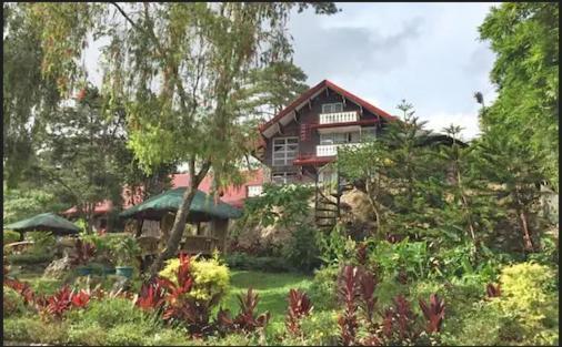 Log Cabin Hotel - Baguio Baguio City Zewnętrze zdjęcie