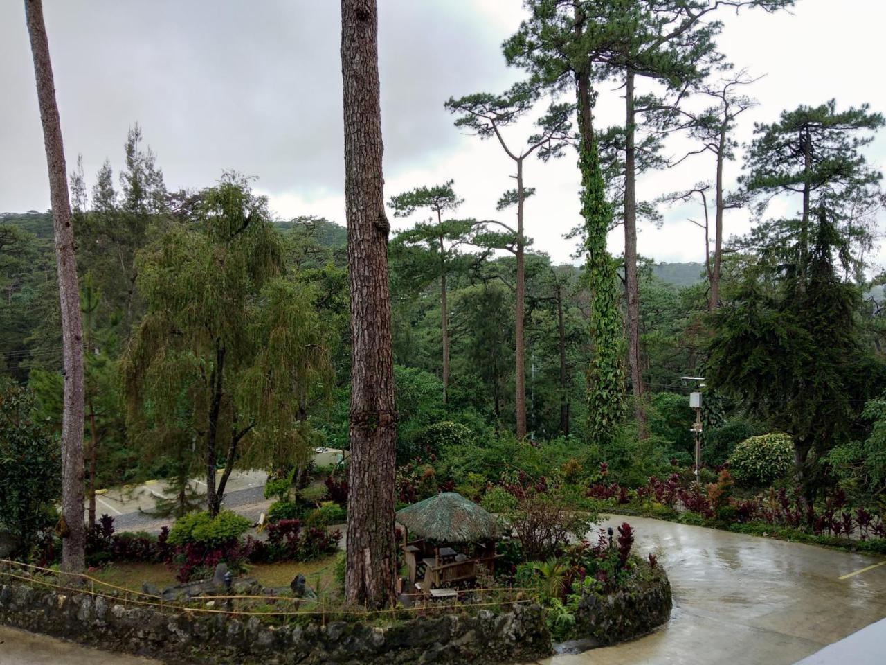 Log Cabin Hotel - Baguio Baguio City Zewnętrze zdjęcie